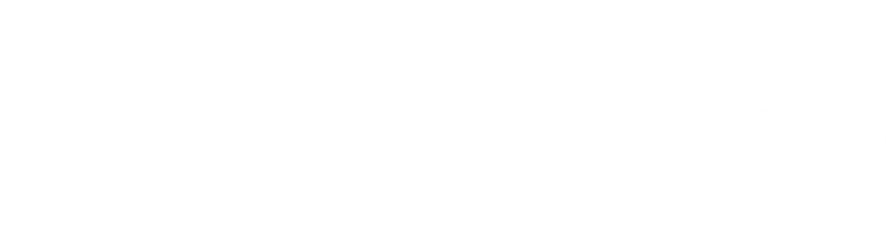Júlia Figueiredo Nutricionista
